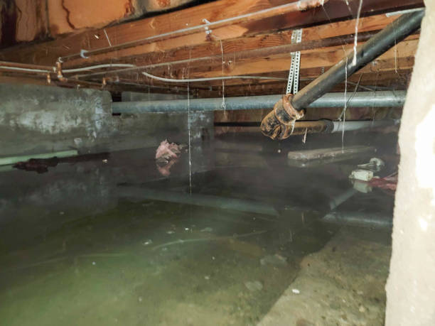 Best Water damage cleanup near me  in Enterprise, WV