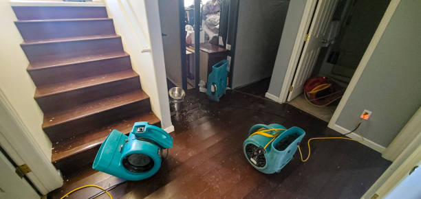 Professional Water damage restoration in WV