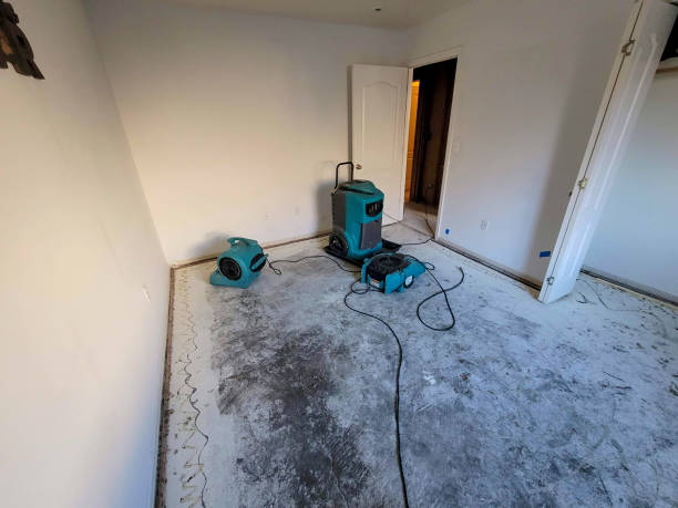 Best Professional water damage repair  in Enterprise, WV