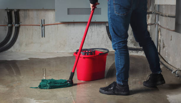 Best Flood damage cleanup  in Enterprise, WV