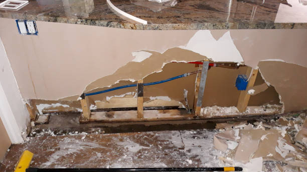 Best Water damage contractors near me  in Enterprise, WV