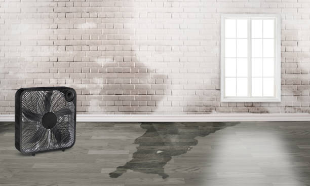 24/7 water damage repair in WV