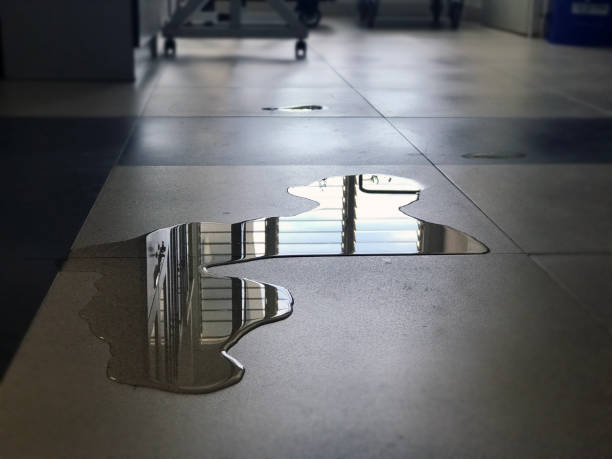 Best Water damage restoration process  in Enterprise, WV