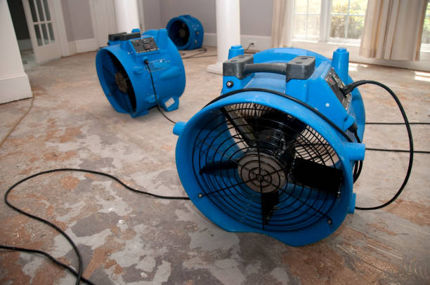 Best Flood damage cleanup  in Enterprise, WV