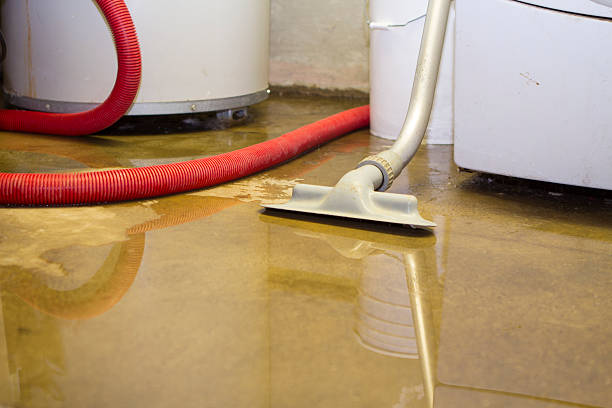 Best Water damage restoration near me  in Enterprise, WV