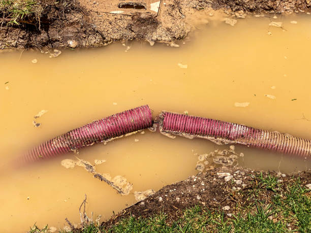 Best Carpet water damage restoration  in Enterprise, WV