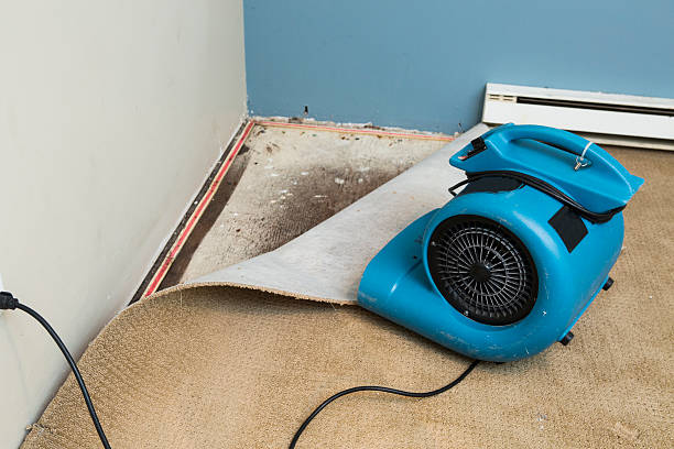 Best Flood restoration services  in Enterprise, WV
